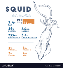 squid hand draw sketch vector image