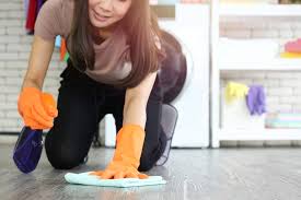 Cleaning Cat Urine From Concrete Floor