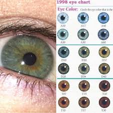 Which Number Is My Eye Iris Eye Eyes Iris