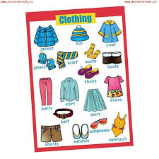 Bolehdeals Educational Posters For Toddlers 17 Inch X 24