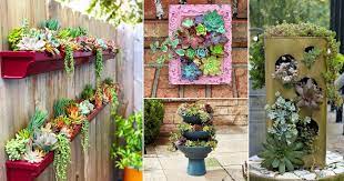 29 best diy vertical succulent garden ideas