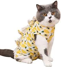 For most cats, it can remain fastened when using a litter box, due to the specially tailored space under the tail. Amazon Com Stock Show Recovery Suit For Cats Cotton Breathable E Collar Alternative For Cats And Dogs After Surgey Wear Medium Lemon Pet Supplies