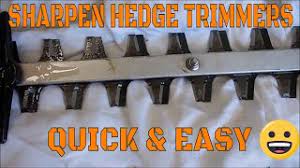 sharpen and clean hedge trimmer blades