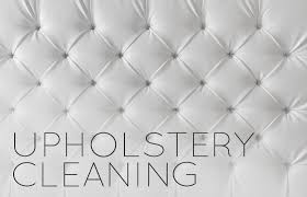 upholstery cleaning steam team