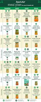 baby food meal plan for your 8 month