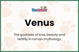 venus dog name meaning pority