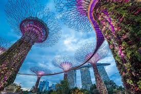 study abroad in singapore a complete guide