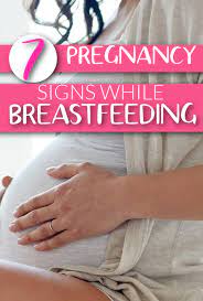 be pregnant while tfeeding