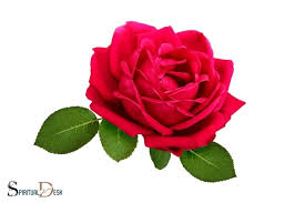 spiritual meaning of a red rose