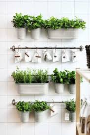 5 Indoor Herb Planters That Will Add A