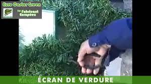 2 фразы в 1 тематике. Haie Artificielle Ecran De Verdure En Pvc Euro Castor Green Youtube