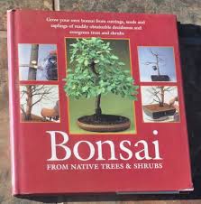 Bonsai trees for sale in the uk. Bonsai Trees Offers March Clasf