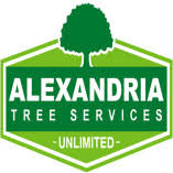 Tree service in alexandria is a cut above. Alexandria Trees Stumps Erfahrungen Bewertungen