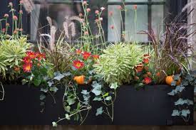 Window boxes for bay windows. Hardscaping 101 Best Styles And Materials For Window Boxes Gardenista