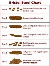 Is My Poo Normal Stool Reveals All About Your Health