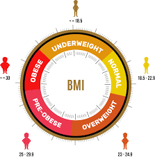 Bmi Chart Obesity Class Easybusinessfinance Net