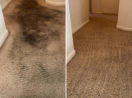 carpet cleaning turlock asap carpet