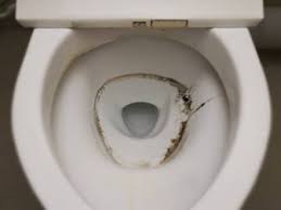 cleaning mold in toilet bowl tank rim