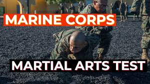 delta co marine corps martial arts