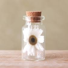 Tiny Dried Flower Glass Bottle Lisa Angel