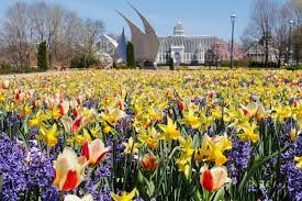 Book your botanical gardens, wroclaw holiday home online from au$ 67/night. Best Botanical Gardens In The Us