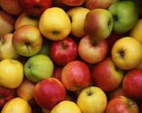 Are there different types of McIntosh apples?