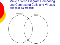 Unicellular And Multicellular Venn Diagram Bismi