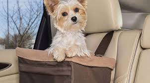 Best Dog Car Seats Askmen