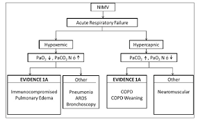 Acute Respiratory Failure Pathophysiological Basis From A