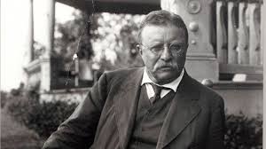 Image result for Theodore Roosevelt