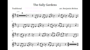 the sally gardens violin recorder