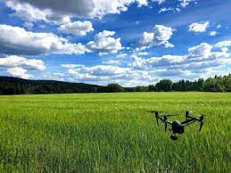 word drone comes from etymology