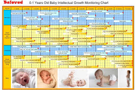 Beloved Diaper Make The Chart Of Baby Intellectual Growth