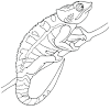 This iguana coloring pages will helps kids to focus while developing creativity, motor skills and color recognition. 1