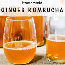 delicious ginger kombucha simple
