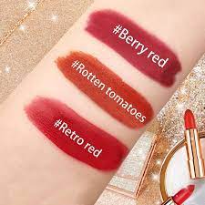 gireatick matte lipstick makeup set for