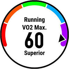 VO2 Max And Running: The Simple Guide - The Ultimate Primate