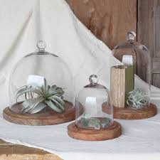 Glass Dome Glass Cloche Garden Decor