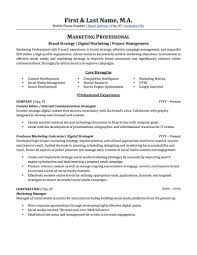 Always operate with safety as a value. Advertising Marketing Resume Sample Professional Resume Examples Topresume
