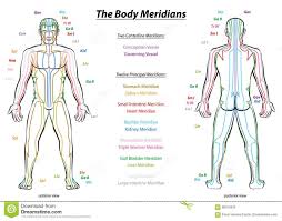 Meridian System Description Chart Male Body Download From