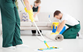 blue jay carpet cleaning professional