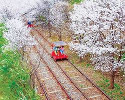 춘천 레일바이크 풍경, AI로 생성