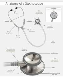 Pin By Mossflower13 On For The Noodle Stethoscope