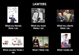 Now, cat lawyer memes are flooding twitter. Solicitor Memes