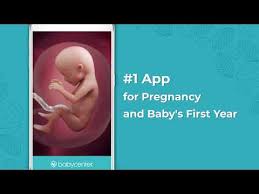 Pregnancy Tracker Countdown To Baby Due Date Apps On