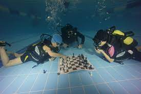 Подводные шахматы. Как в них играют? | KADUN | Дзен
