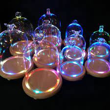 Clear Decorative Glass Dome Wooden Base