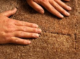 how to fix damaged pile carpet dummies