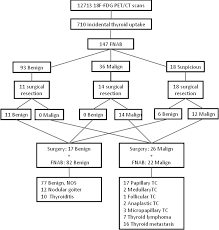 Flow Chart Of The Final Histopathological Diagnosis Nos Not