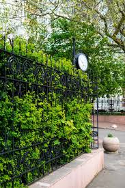 8 Amazing Ways To Hide A Fence With